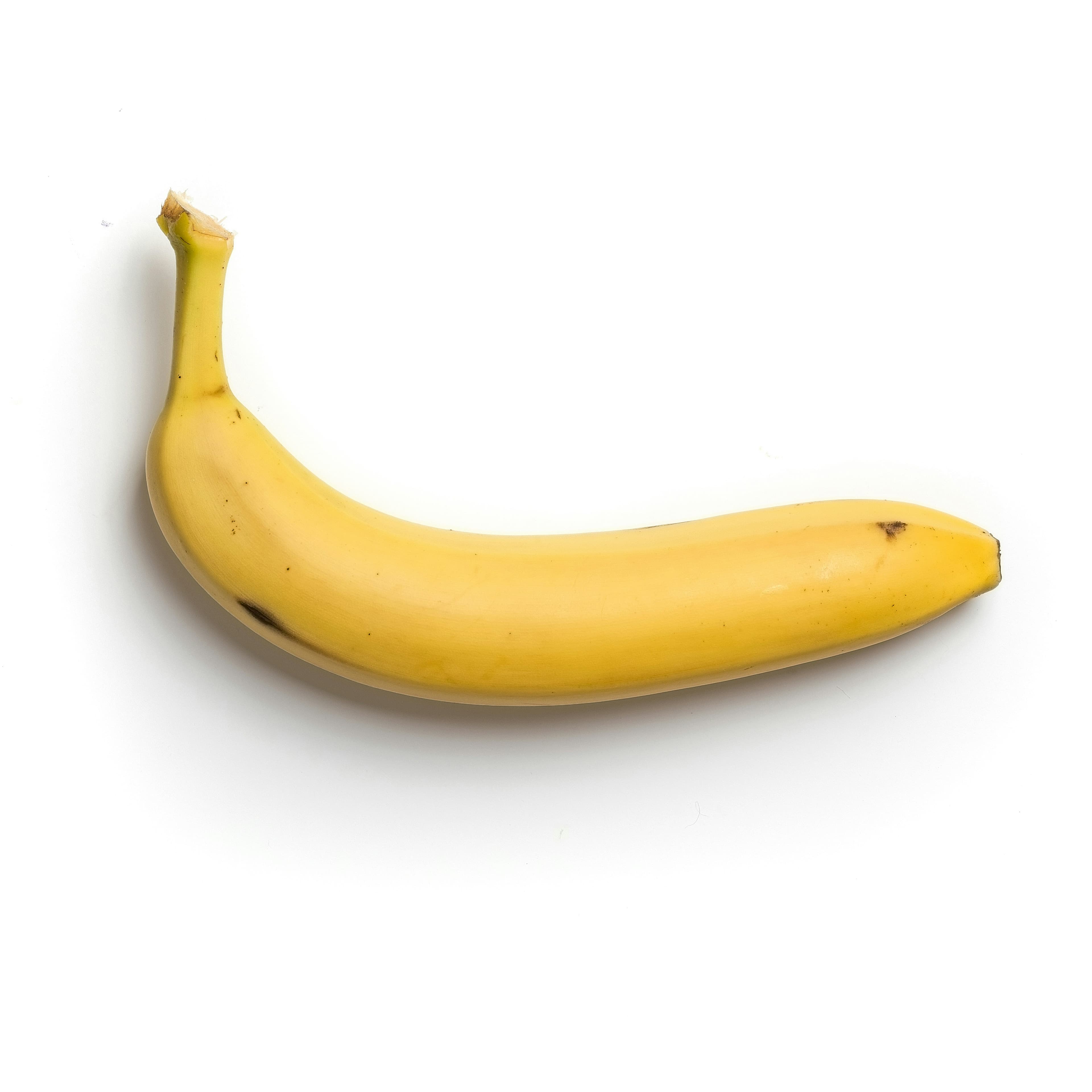 Cover Image for Monkey Business